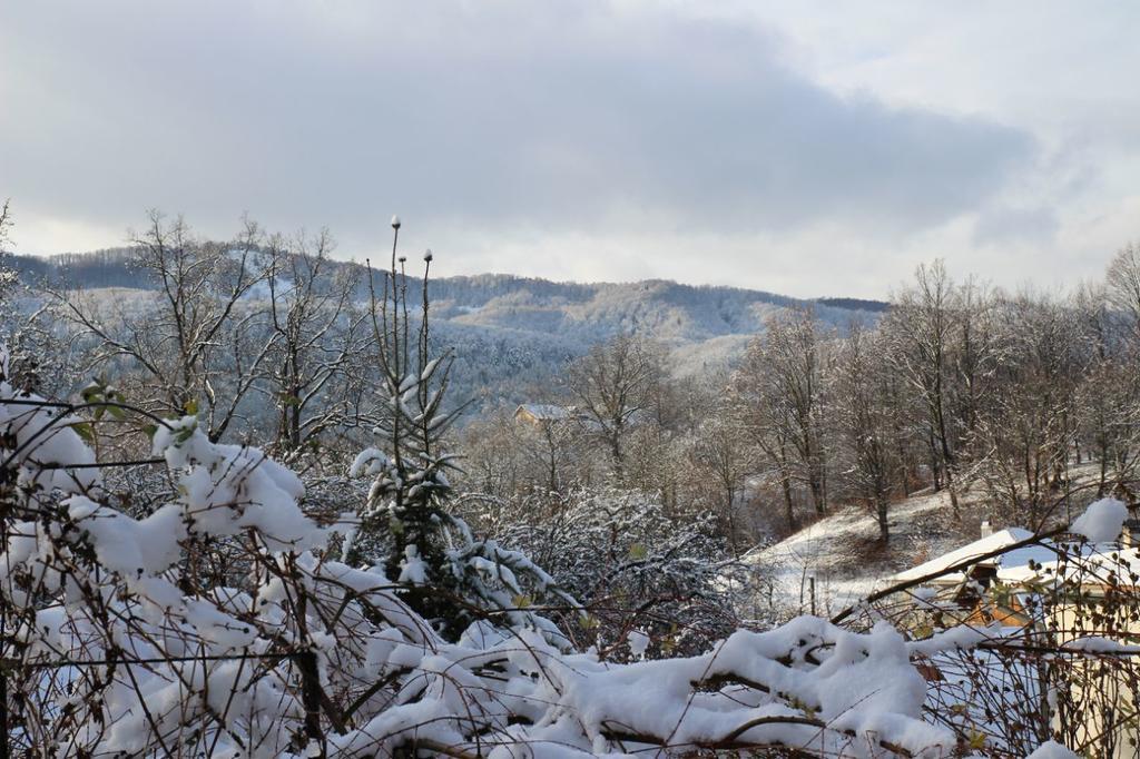 Country House Kosiv