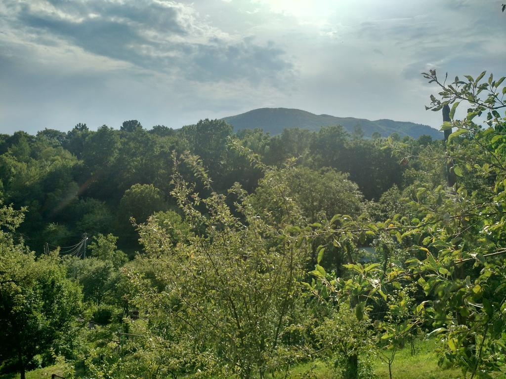 Country House Kosiv Літній будинок