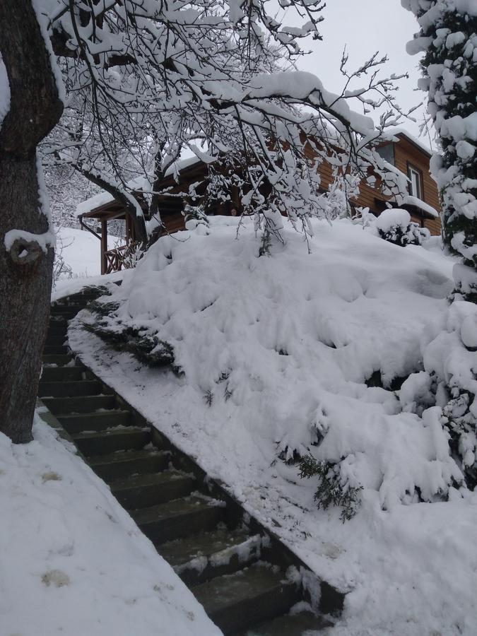 Літній будинок Country House Kosiv *